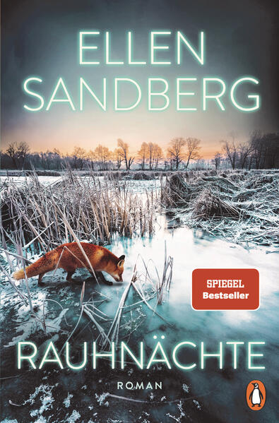 Ellen Sandberg Rauhnächte Rezension