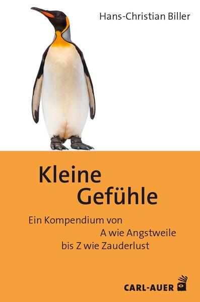 Hans-Christian Biller, "Kleine Gefühle", Carl Auer Verlag 2026, Rezension